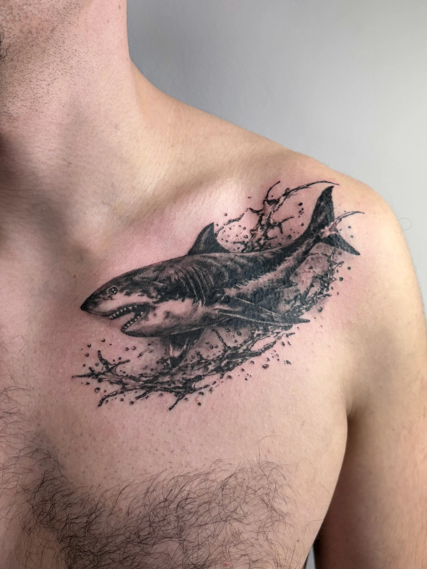 Tatuaj realist cu un rechin, plasat pe pieptul unei persoane